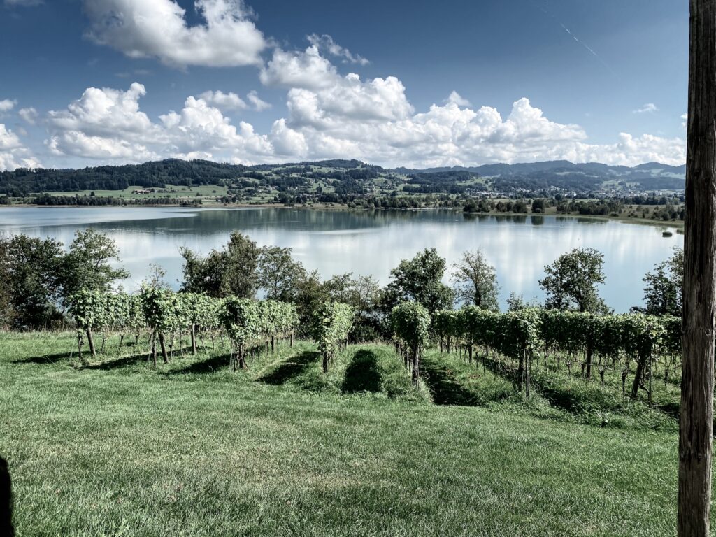 View over Pfäffikersee from the Jucker Farm, Seegräben, Zurich